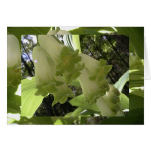 unité dans l'équilibre