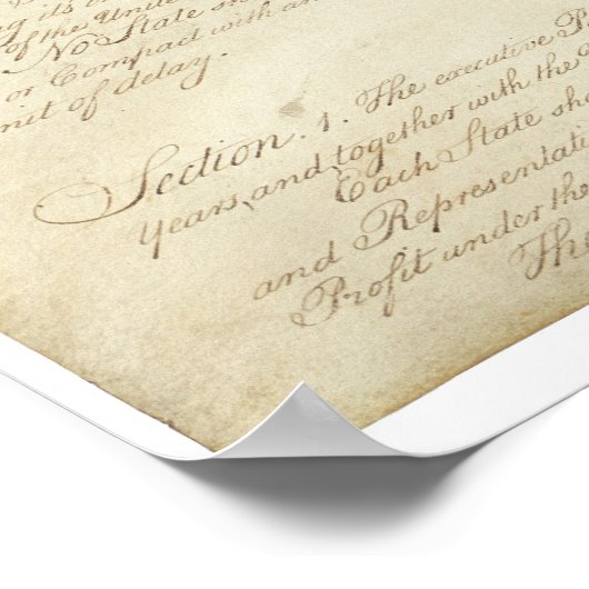 United States Constitution_Pg 2 van 4 Poster (Hoek)