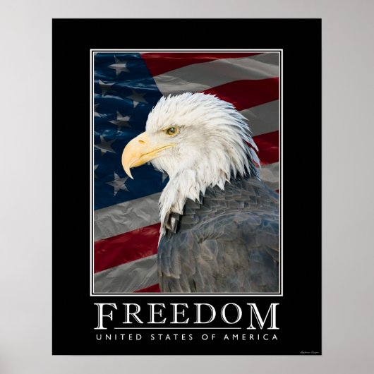 United States Freedom Poster (Voorkant)