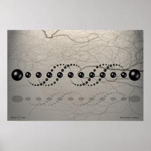 Universal Genome Theorem II Poster