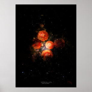 Universele liefde poster