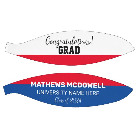 Universitair Afstuderen Basketbal (Panelen)