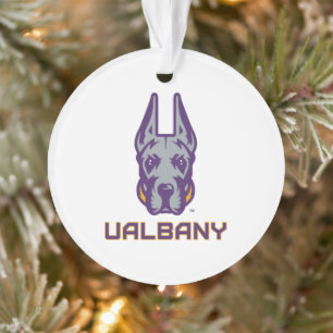 Université d'Albany Great Danes