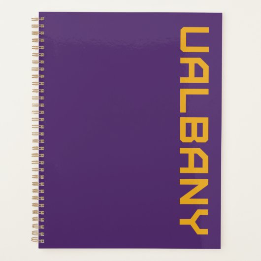 Université de Albany Wordmark (Devant)