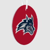 Université Stony Brook | Sauvages (devant)