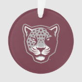 Université Texas A&M de San Antonio | Jaguars (devant)