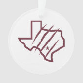 Université Texas A&M de San Antonio | Logo d'état (devant)