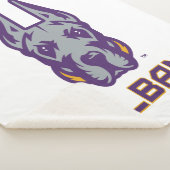 Universiteit van Albany Great Danes Sherpa Deken (3/4)