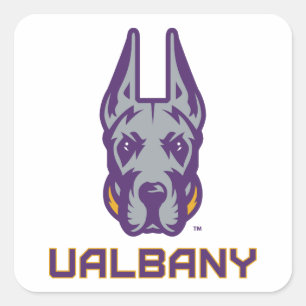 Universiteit van Albany Great Danes Vierkante Sticker