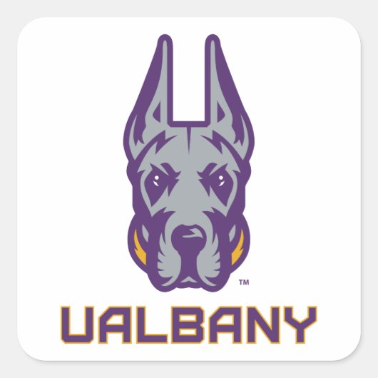 Universiteit van Albany Great Danes Vierkante Sticker (Voorkant)