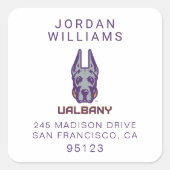 Universiteit van Albany Great Danes Vierkante Sticker (Voorkant)