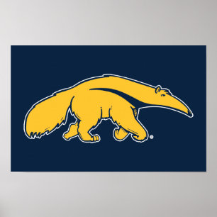 Universiteit van Californië, Irvine Anteater Poster