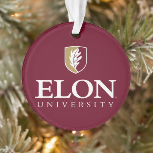 Universiteit van Elon Ornament