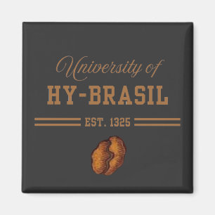 Universiteit van Hy-Brasil, 1325 Magneet