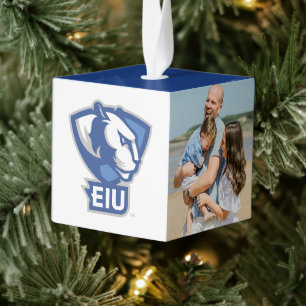 Universiteit van Illinois Panthers Logo Kubus Ornament