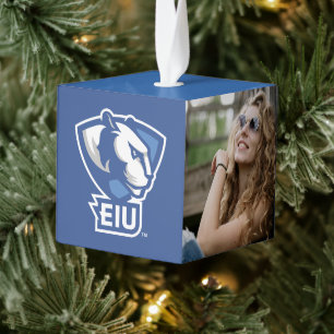 Universiteit van Illinois Panthers Logo Kubus Ornament