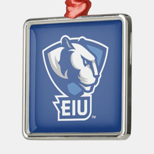 Universiteit van Illinois Panthers Logo Metalen Ornament (Links)