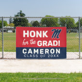 Universiteit van Mississippi | Script M Spandoek (Insitu)