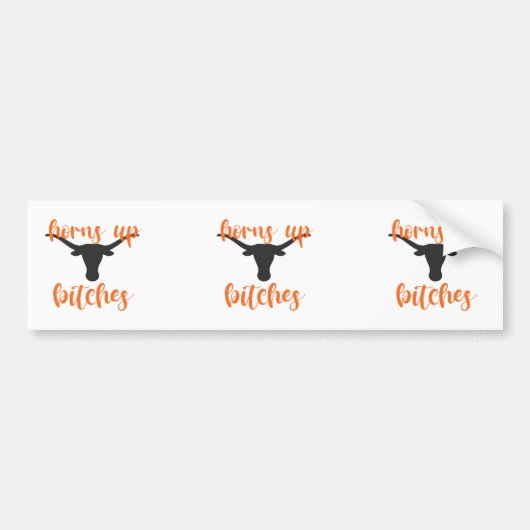 Universiteit van Texas Bumpersticker (Voorkant)