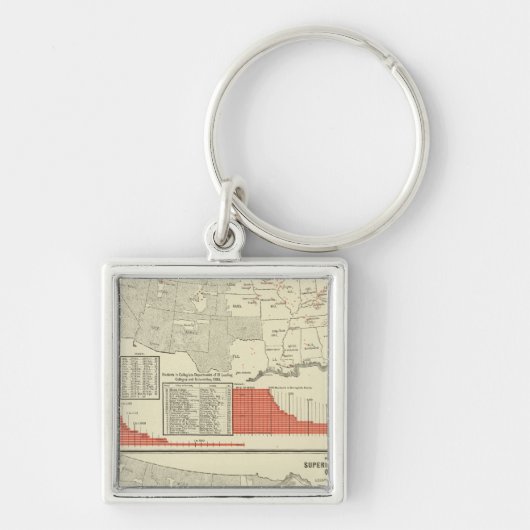 Universiteiten, hogescholen sleutelhanger (Voorkant)