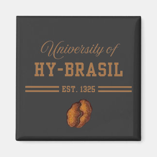 University of Hy-Brasil, Est. 1325 Magneet