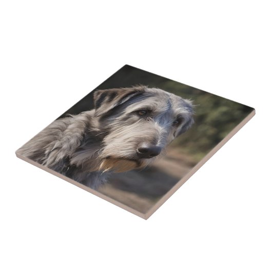 Unmpressed Majesty: The Wolfhounds Stoic Gaze (De Tegeltje (Zijkant)