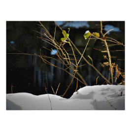 "Unseen Minnesnowta" Foto Afdruk