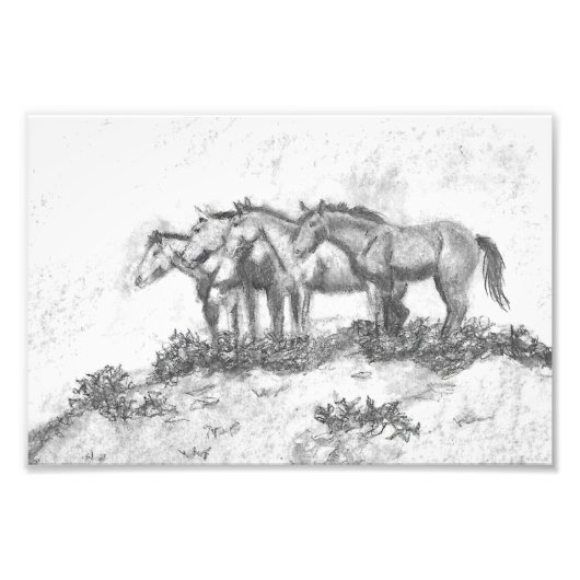 Untamed Foto Afdruk (Voorkant)