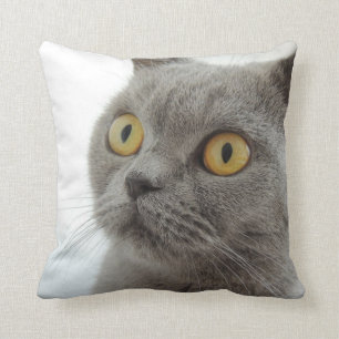 Up-Close British Shorthair Cat Throw Cushion Kussen