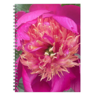 Up-close Hot Pink Peony Notitieboek