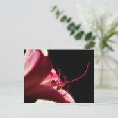 Up Close & Personal Briefkaart (Staand voorkant)