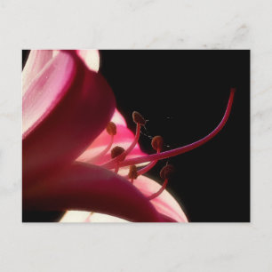 Up Close & Personal Briefkaart