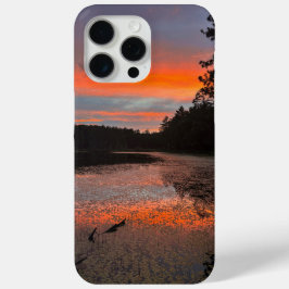 Up in the Northwoods Scenic Phone Case