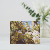 Up into wisteria 2011 briefkaart (Staand voorkant)