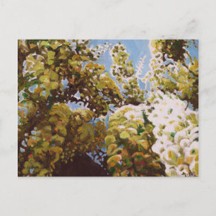 Up into wisteria 2011 briefkaart