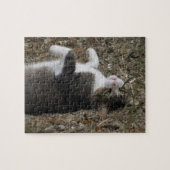 Updown Kitty Puzzle (Horizontal)