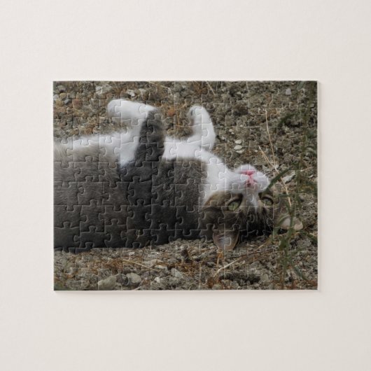 Updown Kitty Puzzle (Horizontal)