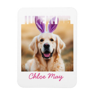 Upload aangepaste Pet Photo Naam Ik hou van mijn h Magneet