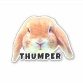 Upload uw pagina Bunny Face en Name Persoonlijk Sticker (Voorkant)