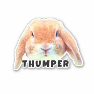 Upload uw pagina Bunny Face en Name Persoonlijk Sticker