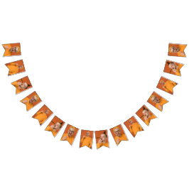 Upload Your Funny Photo Selfie Party  Vlaggetjes