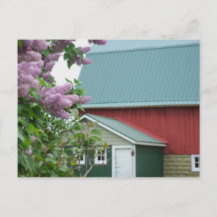 Upper Peninsula Michigan Red Barne Lilac Carte pos