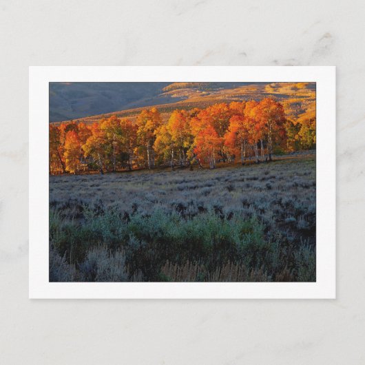 "Upper Summer Meadow" Briefkaart (Voorkant)