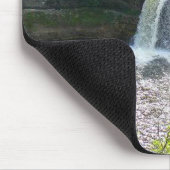 Upper Tahquamenon Herfsten State Park, MI Muismat (Hoek)