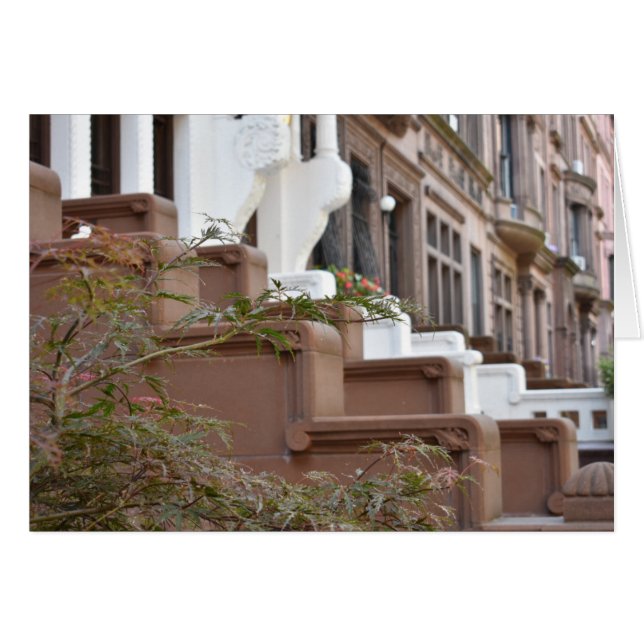Upper West Side Browns New York City NYC (Devant horizontal)