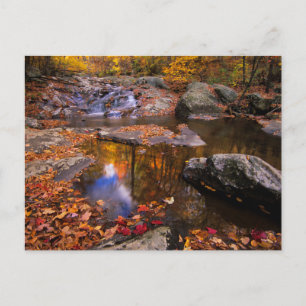 Upper Whiteoak Falls, Shenandoah National Park, VA Briefkaart