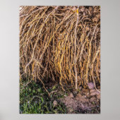 Uprooted 5 Print, Poster paper (semischuim) (Voorkant)