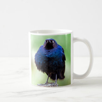 Upset Starling Koffiemok