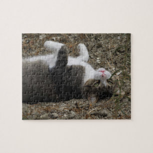 Upside Down Kitty Puzzle