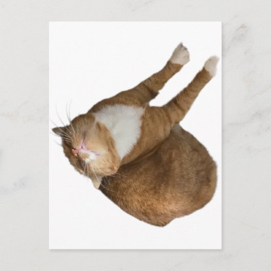 Upside-Down Sunshine Briefkaart (Voorkant)